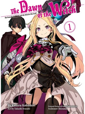 cover image of The Dawn of the Witch Volume 1 (light novel)